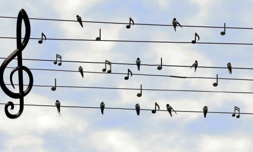 Fachberatung Musik Grundschule